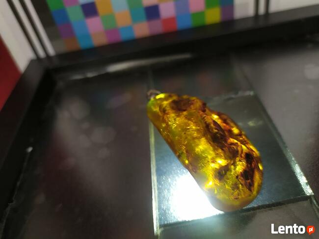 Sprzedam bursztyn bałtycki kolekcjonerski wisior