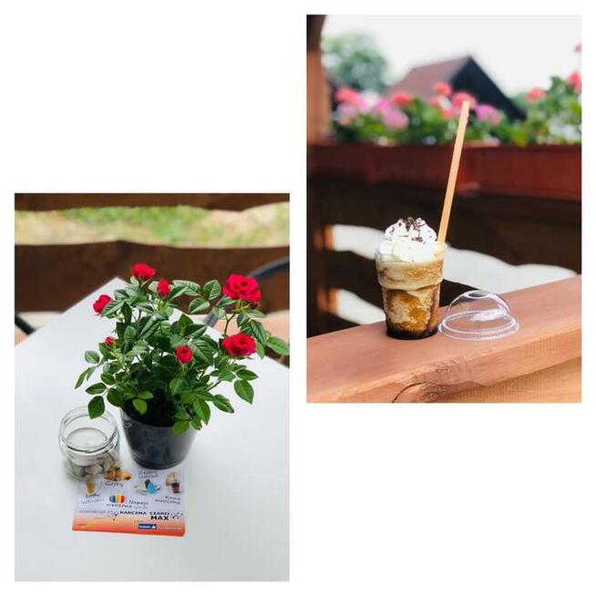Zapraszamy do Karczmy Czarci Max na przepyszne lody włoskie