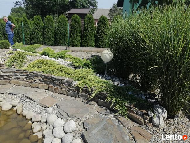 Zakładanie ogrodów Trawników Tarnów