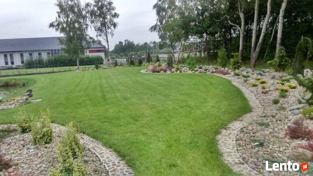 Zakładanie ogrodów Trawników Tarnów