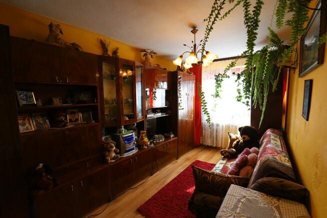 Mieszkanie w Sandomierzu? To najtańsze w okolicy!