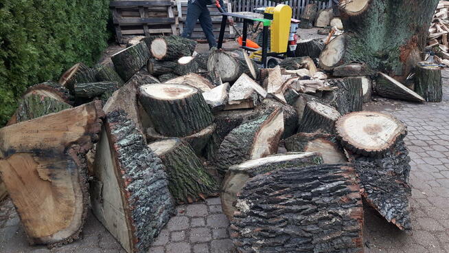 Łuparka. Rębak śrubowy