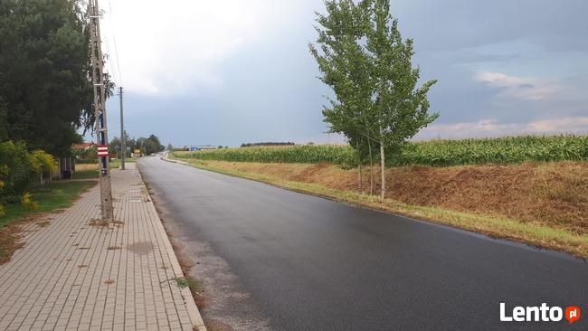 działka zagrodowo-siedliskowa, Kutno, Sieciechów