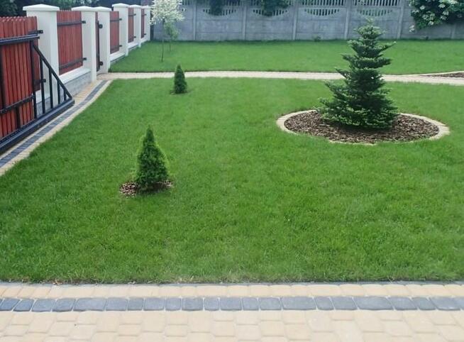 Automatyczne systemy nawadniania/ zakładanie trawników