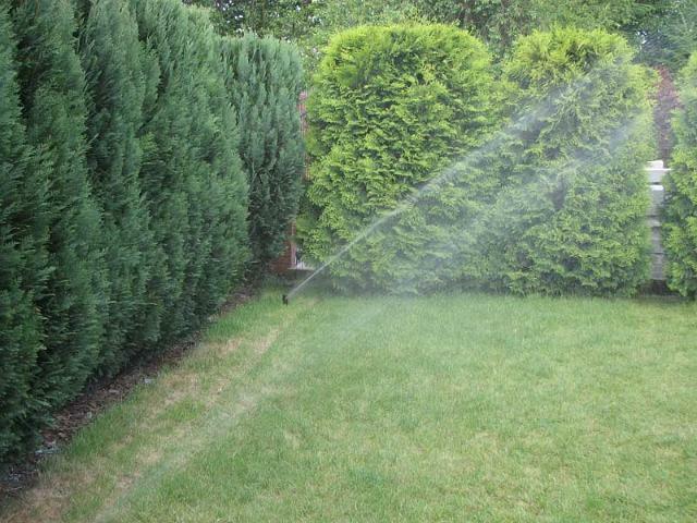 Automatyczne systemy nawadniania/ zakładanie trawników