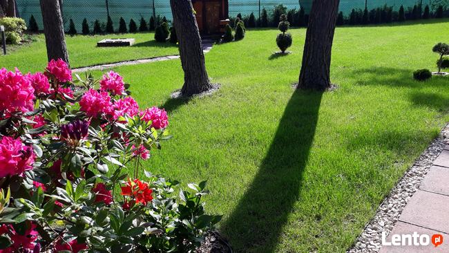 Sprzedam działkę nad Zalewem Zegrzyńskim 1500m2 z domkiem