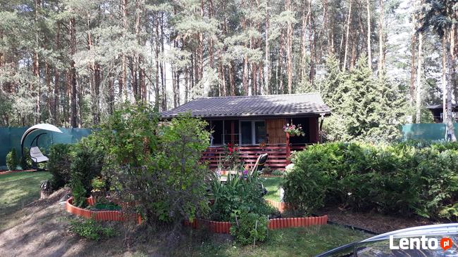 Sprzedam działkę nad Zalewem Zegrzyńskim 1500m2 z domkiem