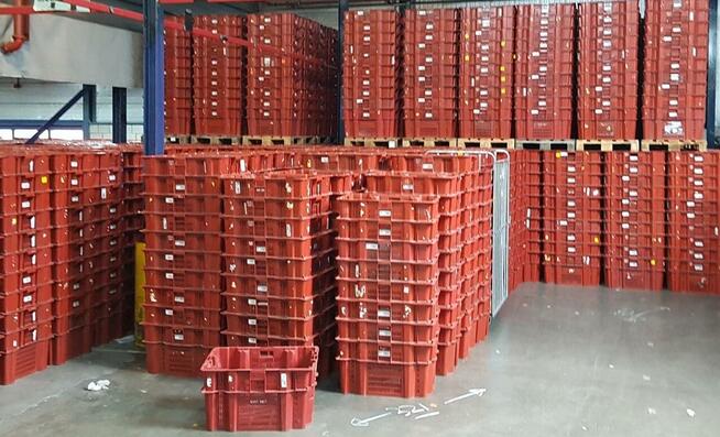 POJEMNIK skrzynka kuweta magazynowy transportowy-DUŻY-80x60x