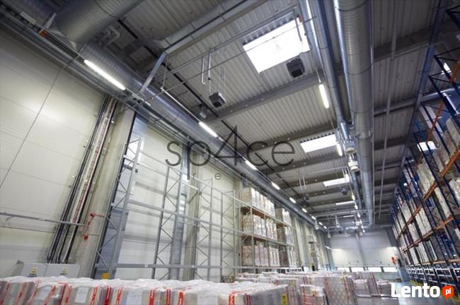 Hala/Magazyn, 6 300 m², Gdańsk