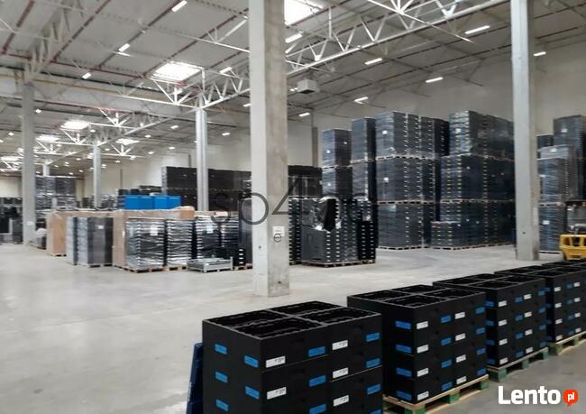 Hala / Magazyn, 20 000 m², Białystok