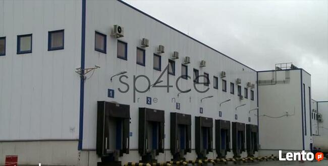 Hala/Magazyn, 1 143 m², Duchnice