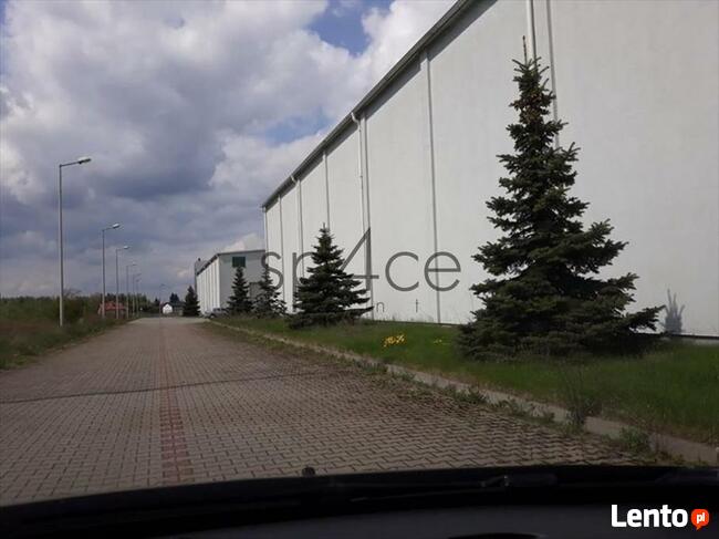 Hala/Magazyn, 700 m², Ożarów Mazowiecki