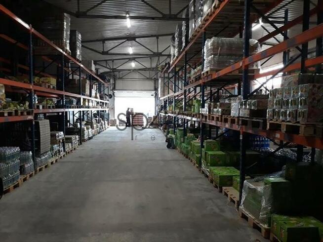 Hala/Magazyn, 8 488 m², Raszyn