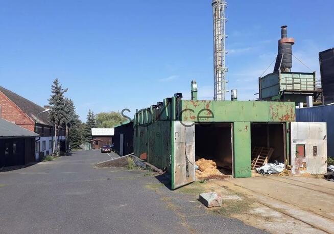 Hala/Magazyn, 8 684 m², Mysłowice