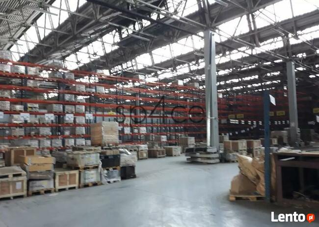 Hala/Magazyn, 1 125 m², Katowice
