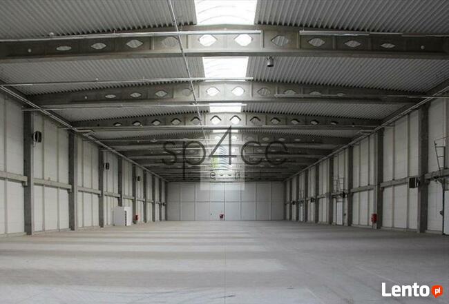 Hala/Magazyn, 4 800 m², Lućmierz Las