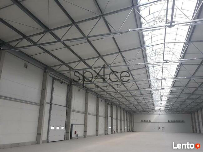 Hala/Magazyn, 10 000 m², Mysłowice - TANIO / teraz