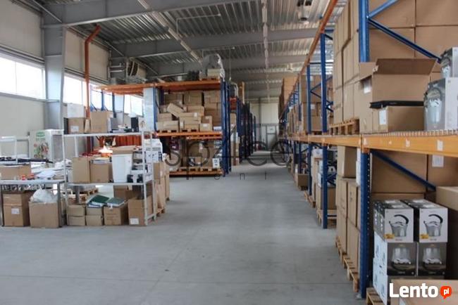 Hala/Magazyn, 6 000 m², Opole