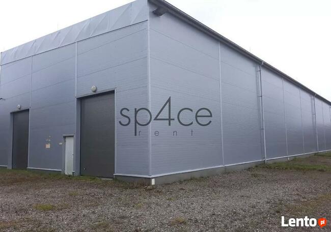 Hala/Magazyn, 5 300 m², Błonie