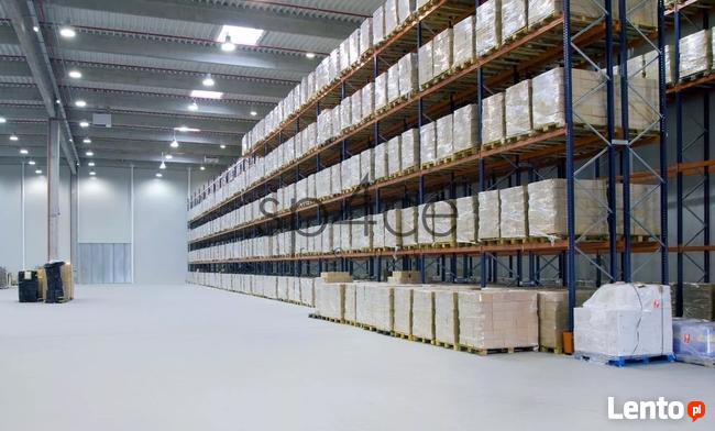 Hala/Magazyn, 2 700 m², Poznań