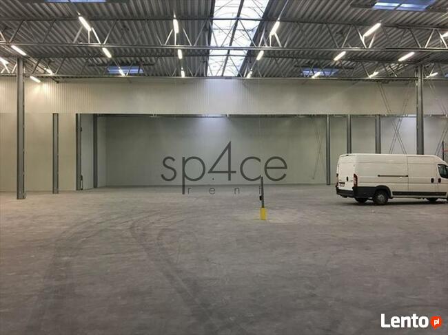 Hala. Magazyn, Jelcz-Laskowice, 10000 m2