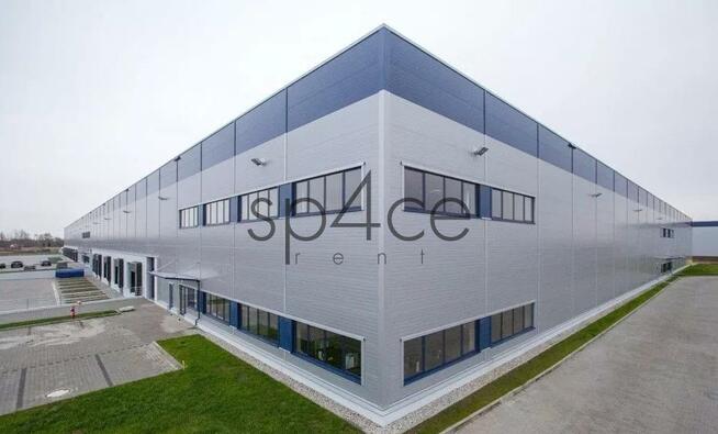 PANATTONI - Magazyn, Hala k/ Wrocław , 13259 m2