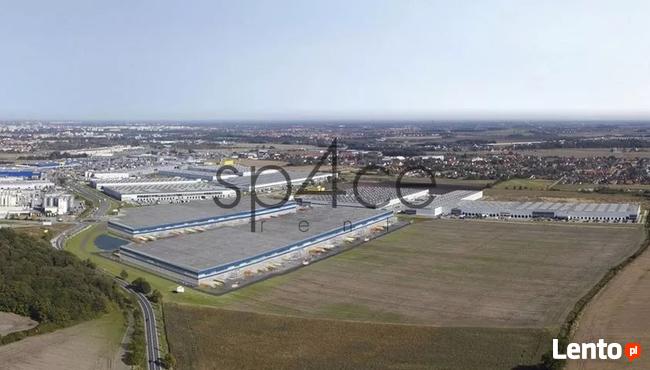PANATTONI - Magazyn, Hala - Rzeszów , 21000 m2