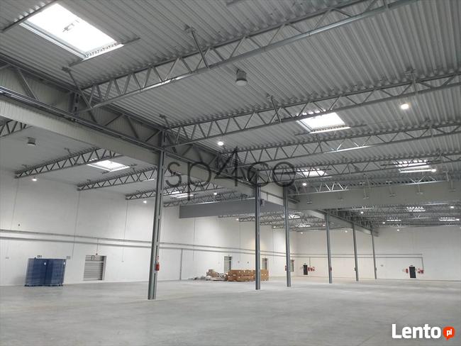 PANATTONI - Magazyn, Hala - Rzeszów , 21000 m2