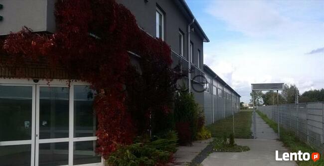 Piaseczno - Hala. Magazyn 1200 m2 + 200 m