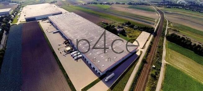 GOODMAN - Magazyn, Hala - Kraków , 4250 m2