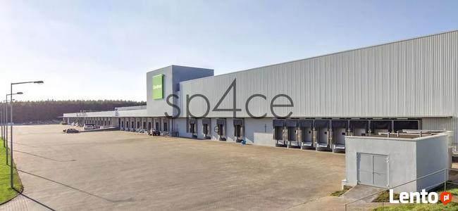 GOODMAN - Magazyn, Hala - Zgorzelec , 30250 m2