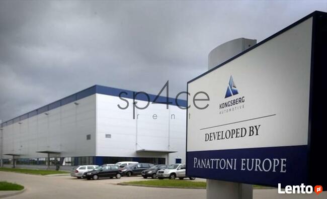 PANATTONI - Magazyn, Hala - Toruń , 4250 m2