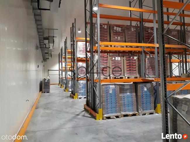 bezpo.CHŁODNIA - 2230 m2 - Opole, Wrocław, Katowic