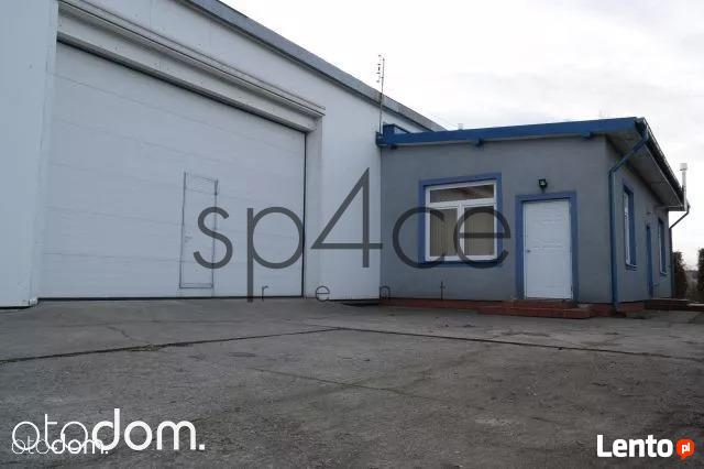 Wynajmę Magazyn . Hale - 600m2 - Warszawa + biura
