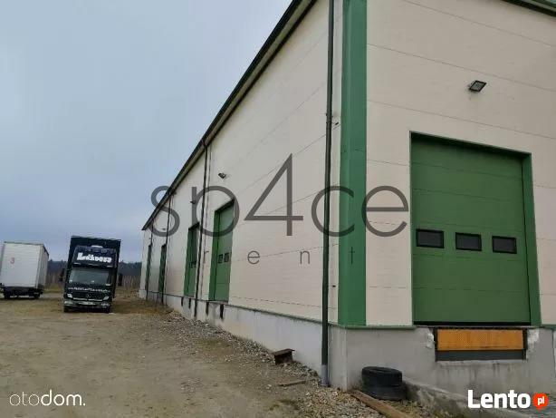 BEZPOSREDNIO - Hala/Magazyn , 1490 m², Dęblin