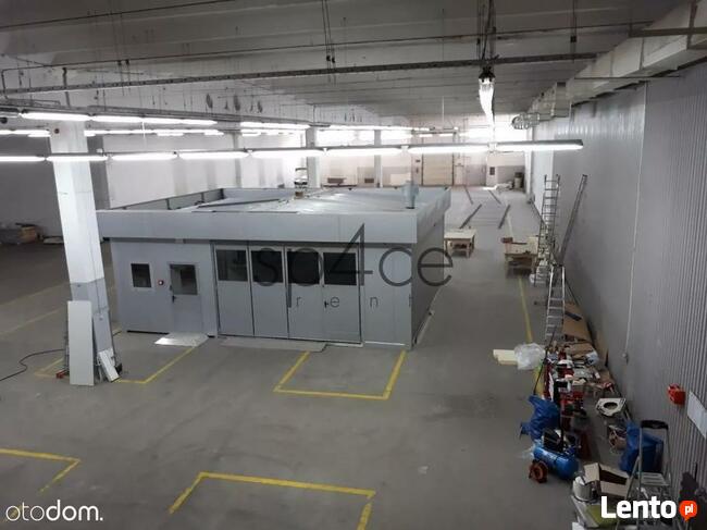 BEZPOSREDNIO - Hala/Magazyn , 3570 m², Krapkowice