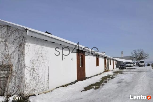 Hala / Magazyn , 1000 m², Przemyśl