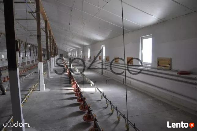 Hala / Magazyn , 1000 m², Przemyśl