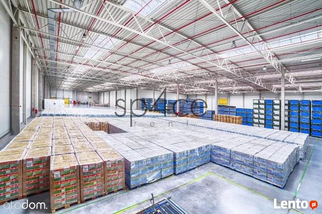 GLIWICE - 1000 m2, 2000 m2, 3000 m2. oraz 8000 m2