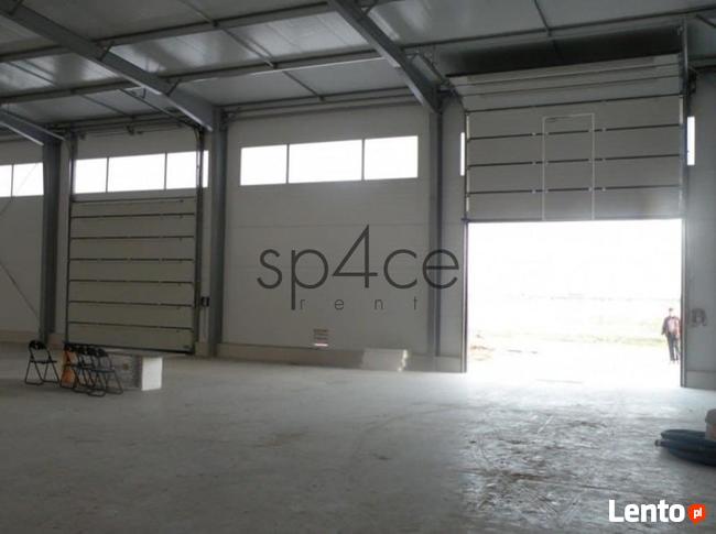 RADOMSKO - 5000 m2 - hala/Magazyn