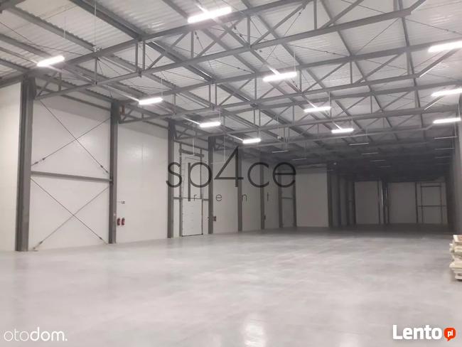 TORUN 3200 m2 - Wynajme Hala Magazyn