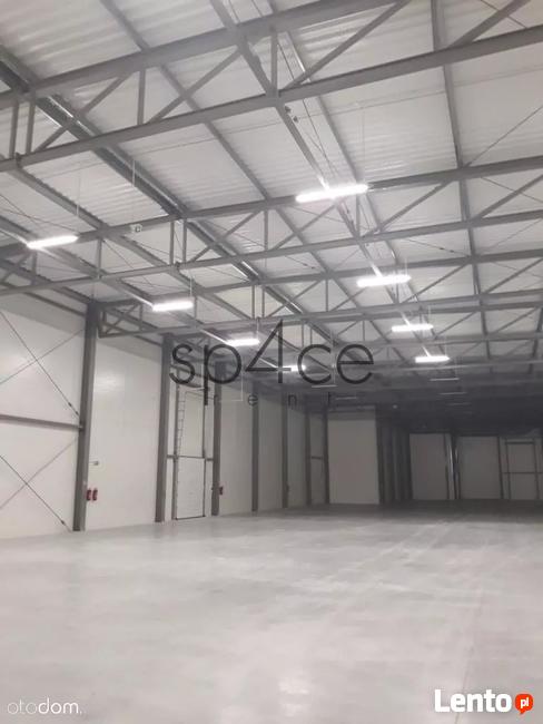 TORUN 3200 m2 - Wynajme Hala Magazyn