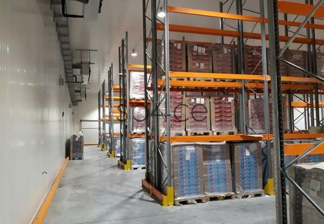 Hala magazynowa 2400 m2