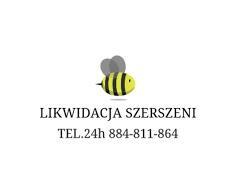 usuwanie likwidacja zwalczanie gniazd roi szerszeni Bielsko