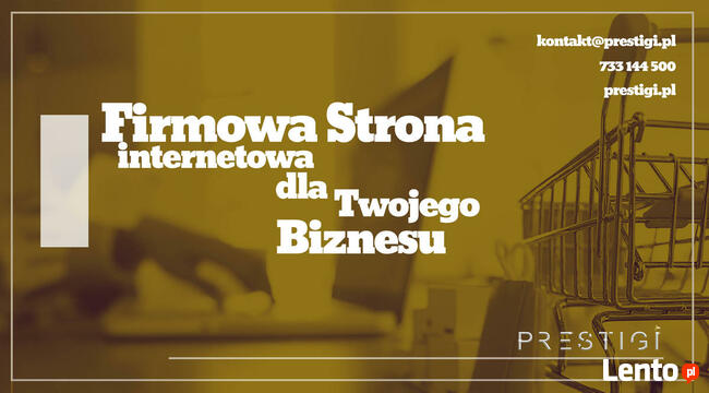 Strona internetowa dla biznesu. Pozycjonowanie optymalizacja