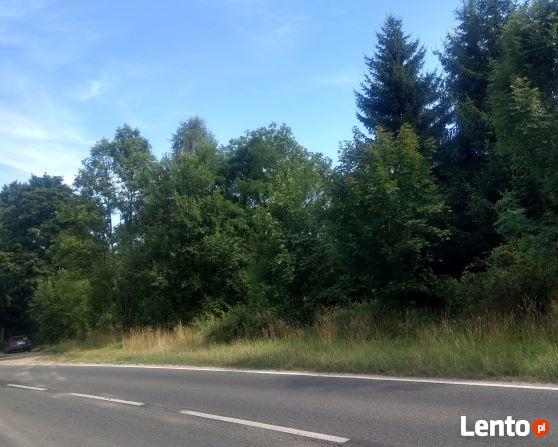 dzialka pod inwestycje 5200 m2 -2 km od Ladka Zdroju