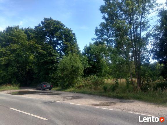 dzialka pod inwestycje 5200 m2 -2 km od Ladka Zdroju