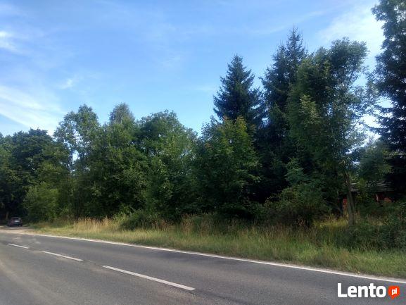 dzialka pod inwestycje 5200 m2 -2 km od Ladka Zdroju