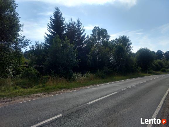 dzialka pod inwestycje 5200 m2 -2 km od Ladka Zdroju