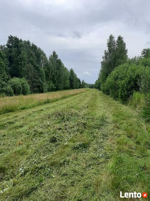 okazja działka rolno-budowlana Słubica dobra